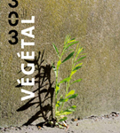 Hors-série de la Revue 303 sur le « Végétal »