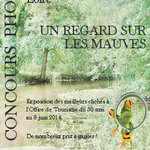 Concours photo &quot;Un regard sur les Mauves&quot;