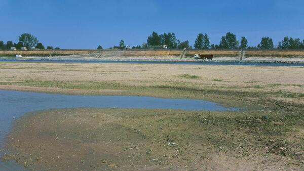 Vue sur la pointe aval de l’île de Baure (Le Thoureil) et la levée d’Anjou depuis la Loire. 2008 © Pierre Aucante