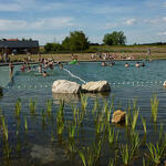 Baignade 6 -CCGC