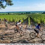 VTT vignes St-Nicolas 2012