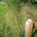 Balisage 2 -photo CCVA