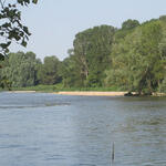 Vue sur la Loire 2 -photo CCVA