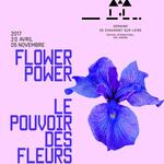 Jardins en Val de Loire : temps forts du printemps