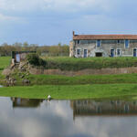 les prairies inondables