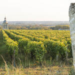 19.2 - les vins de vouvray et montlouis (4) une.jpg