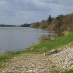 19.2 - cour-sur-loire (5).jpg