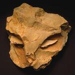 poi 8 site prehistorique de la roche-cotard_11_14_2014.jpg