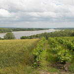 Orientation 2 : Maintenir les paysages ouverts et les vues sur la Loire