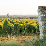 Rencontre territoriale 2019 - Vouvray