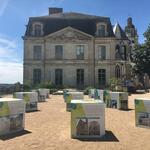 Présentation de l exposition sur les jardins disparus du Château