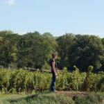 Le château de la Roche aux Moines dans son parc arboré, clos de murets dans un écrin de vignes
