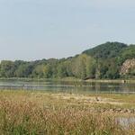 Le coteau de Savennières